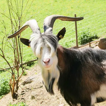 Laxhube Alloggio per agriturismo *