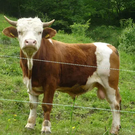 Alloggio per agriturismo Laxhube