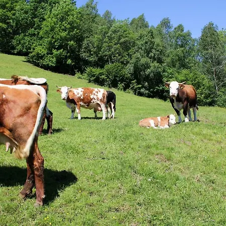 Alojamento de Turismo Rural Laxhube