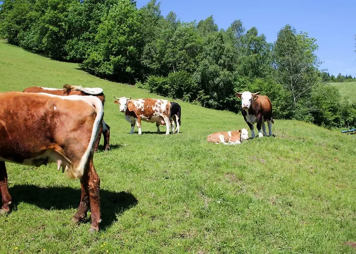 Gospodarstwo agroturystyczne Laxhube